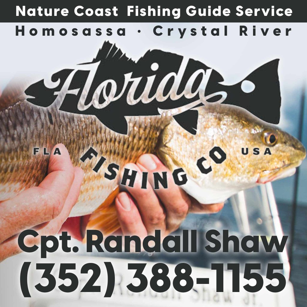 florida fishing guide crystal river charters