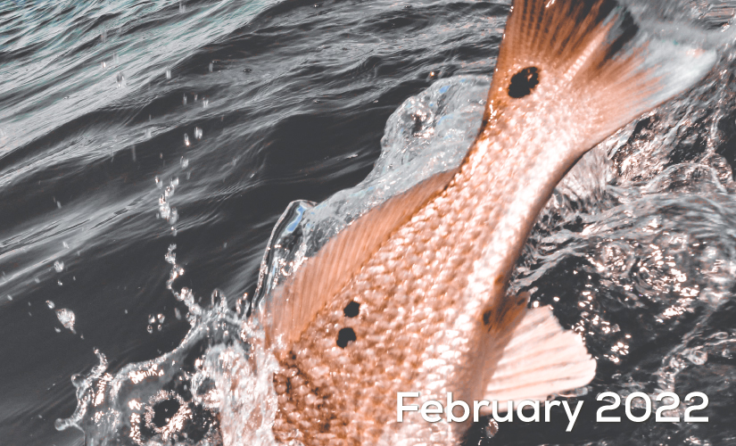 February Fishing Report