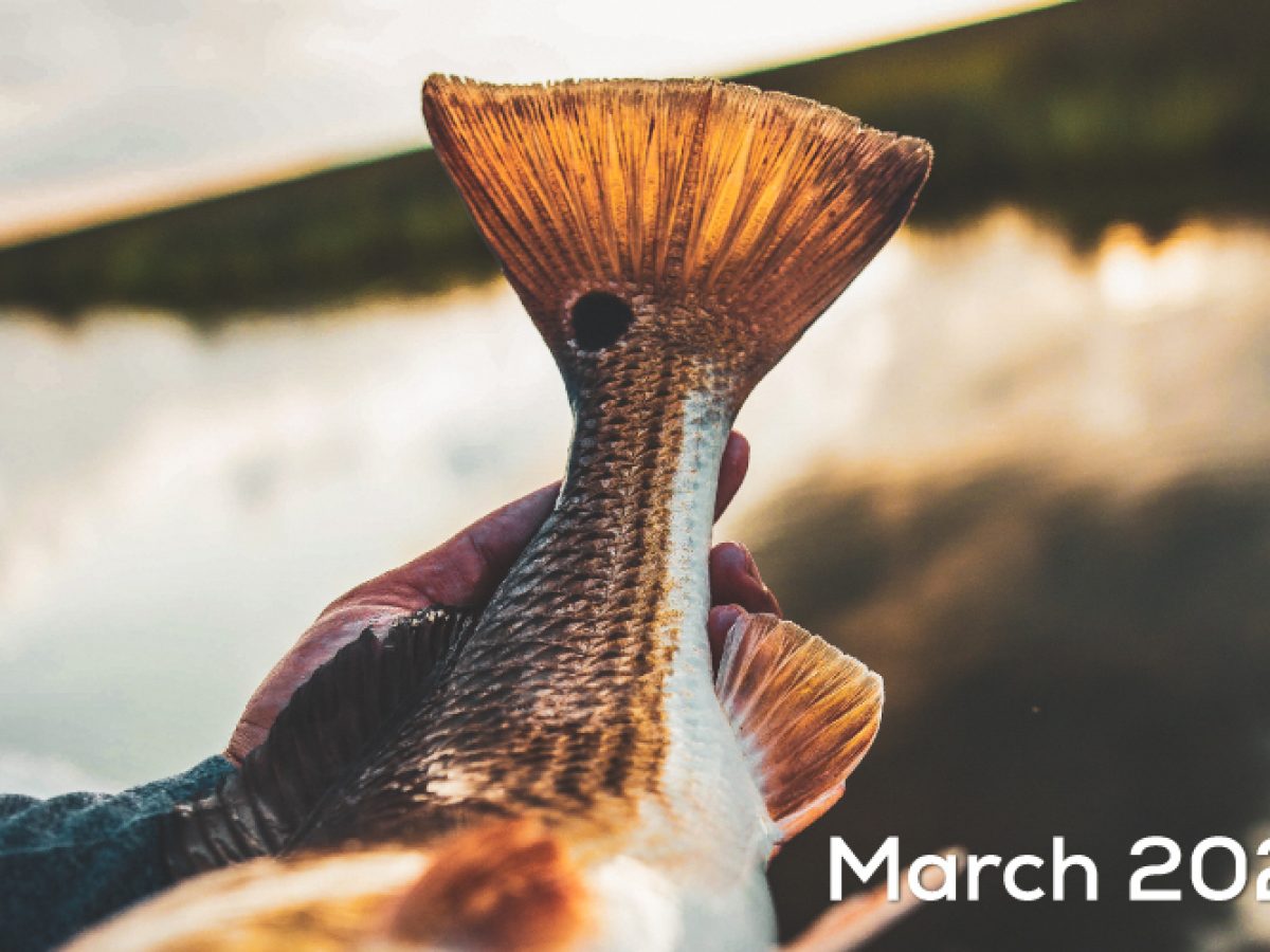March Fishing Report 