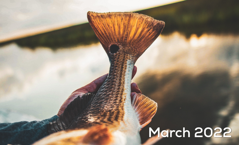 March Fishing Report