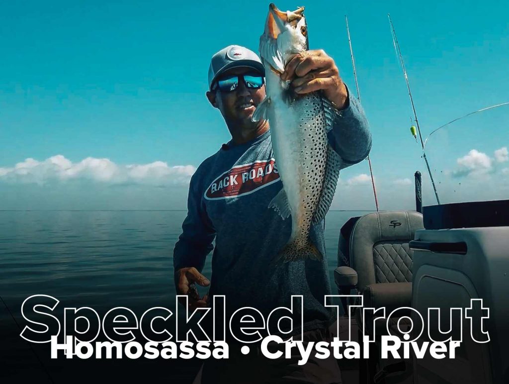 Speckled Trout Fishing Charters Florida Fishing Guides & Service