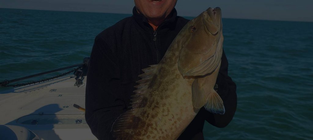 Florida Grouper Fishing Charters Homosassa Florida Crystal River