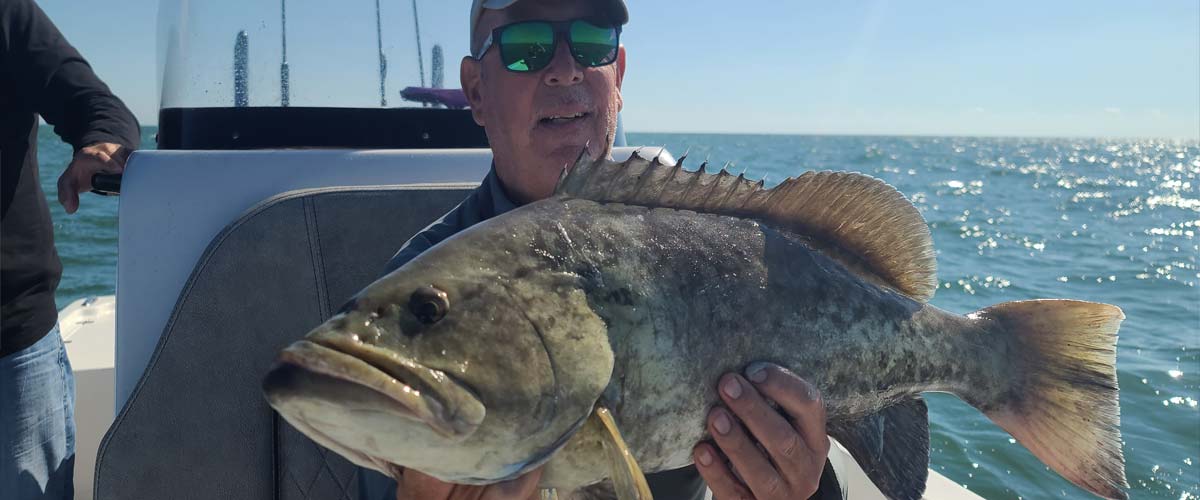 Scamp Grouper Fishing Charters in Crystal River