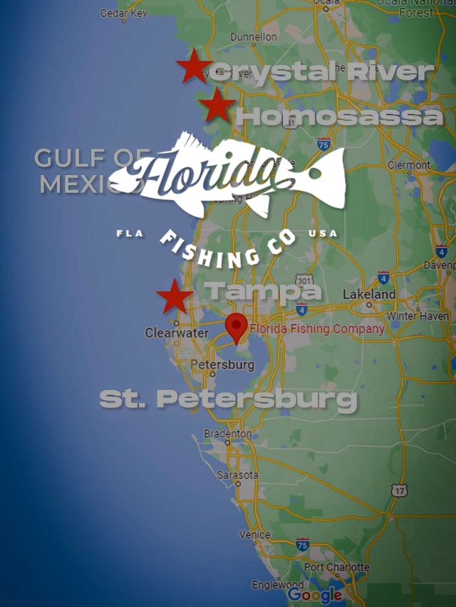 Florida’s Gulf Coast Fishing Charters & Guide Services