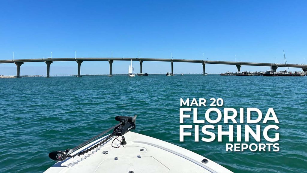 Florida Fishing Report